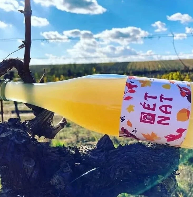 Pét-Nat Pinot Blanc 2025 (Rulandské bílé), alacsony cukortartalommal